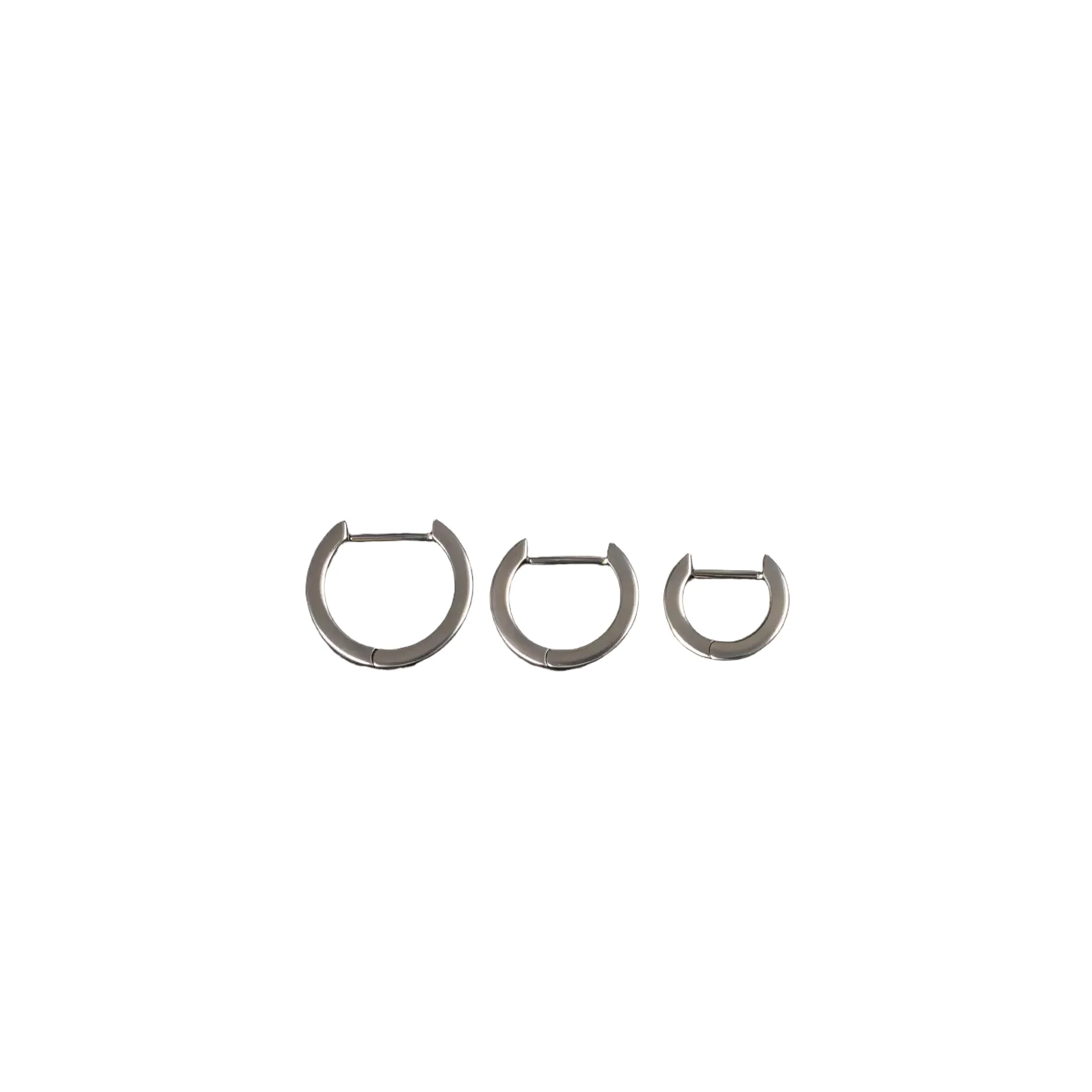 Titanium Earrings